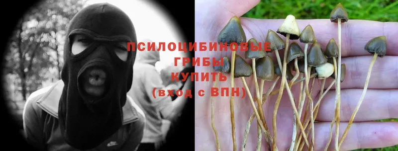 кракен ONION  Набережные Челны  Псилоцибиновые грибы Psilocybine cubensis 